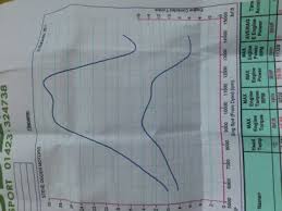 Interpreting Dyno Read Out Karting1 Co Uk View Topic