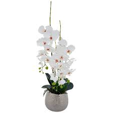 Giant flowers at hobby lobby!! White True Touch Orchid In Silver Pot Hobby Lobby 1082627