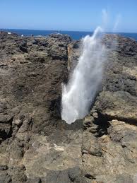 Kiama Blowhole Kiama Places To Visit New South Wales