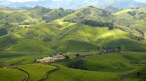 Use them in commercial designs under lifetime, perpetual & worldwide rights. Cidt Supports The Government Of Rwanda To Secure 32 79m To Strengthen Climate Resilience Of Rural Communities Cidt