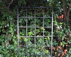 One of the benefits of installing a. Metal Garden Trellis Etsy