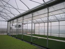 We did not find results for: Vand Solarii In Bihor