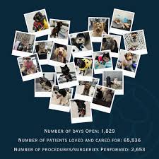 Pulse Veterinary (@pulseveterinary) • Instagram photos and videos