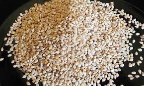 Diesen beziehen wir aus nachhaltiger bewirtschaftung. Sesam Roh Ungeschalt Sesamsamen Ganz Bio De