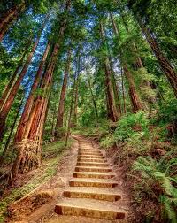 Pin On Places I Wanna Go