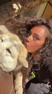#dog #cute #cutiepie #kiss #arabic