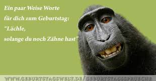 Täglich neue facebook bilderwitze auf debeste.de. Lustige Geburtstagsbilder Witzige Bilder Zum Gratulieren