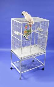 Bird Cage Seed Catcher Australia Clyde 62 25 Iron Flat Top Floor Bird Cage With Wheels Flight Cage Finch Cage Bird House Kits