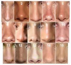 26 Best Noses Images Nose Shapes Nose Types Nose Meaning
