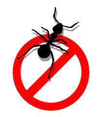 4.9 out of 5 stars from 1,341 genuine reviews on australia's largest opinion site productreview.com.au. Jim S Pest Control Jimstermitepestcontrol Profile Pinterest