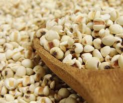 Image result for Coix