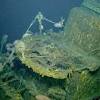 Rescuers find unidentified object as oxygen runs low. Https Encrypted Tbn0 Gstatic Com Images Q Tbn And9gcshwo Rcpxiieh9wuhrao69dw13dee Udfnmc3zz0labvomlegd Usqp Cau