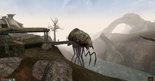 Image result for Silt Strider