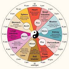 An integrated practice of ancient healing traditions. The Chinese Body Clock Acupuncture In Boulder Co