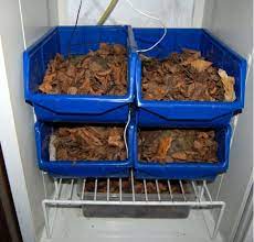 Wann es zeit für die winterruhe ist. Winterstarre Winterschlaf Winterruhe Griechische Landschildkrote Uberwintern Landschildkroeten De