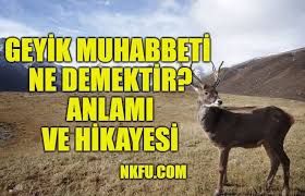 Geyik Muhabbeti Ne Demektir Deyimin Anlami Hikayesi Ornek Cumleler