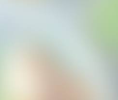 Sushirijst Met Sticky Speklapjes Recept Blur Wallpaper Abstract