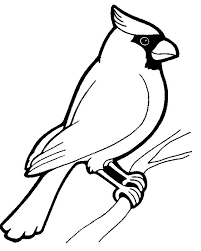 You can print or download them to color and offer them to your family and friends. Bird Coloring Pages Coloringpages1001 Com Bird Coloring Pages Bird Drawings Animal Coloring Pages