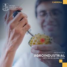 Procesamiento de Alimentos