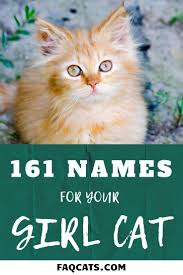 Black And White Kitten Names Unisex 161 Female Tabby Cat Names You Will Love Faqcats Com In 2020 Kitten Names Cat Names Tabby Cat Names