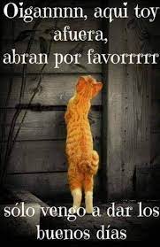 Buenos Dias Buenos Dias Saludos De Buenos Dias Buenos Dias Buenas Tardes