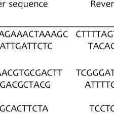 Image result for Cyphostemma heterotrichum
