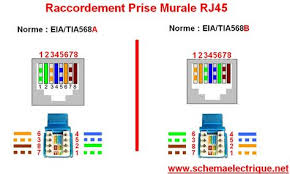 Schema De Branchement Prise Rj45 Telephone Cablage Les Differents Types Cable Ethernet Rj45 Droit Et Prise Rj45 Prise Electrique Murale Circuit Electrique