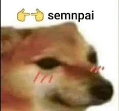 Meme To See Before Going To Brazil Dank Memes Amino