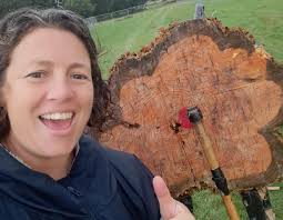 North Somerset Council Archives