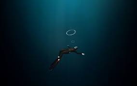 Wallpapers in ultra hd 4k 3840x2160, 1920x1080 high definition resolutions. Flippers 4k Ultra Hd 16 10 Wallpapers Hd Desktop Backgrounds 3840x2400 Images And Pictures