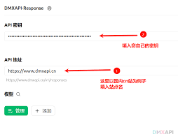 Cherry Studio如何调用gpt-5-pro | DMXAPI 文档