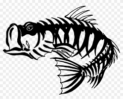 Check spelling or type a new query. Free Bass Skeleton Cliparts Download Free Clip Art Bass Fish Skeleton Free Transparent Png Clipart Images Download
