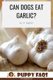 Pin On The Furry Ones I Love