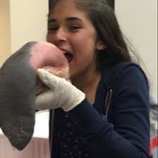 Amanda David (amandadaviid)