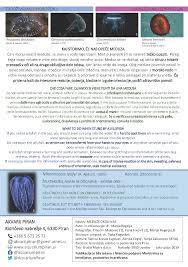 Join facebook to connect with manja ma and others you may know. Uzivatel Gojelly Na Twitteru The Team From Slovenian Aquarium In Piran Just Released An Informative Brochure In 3 Languages English Slovene Italian About The Jellyfish Jellyfish Species In Northern Adriatic Https T Co Iblxtmvjld