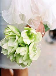 Pin On Flowers
