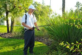 In spring hill, florida due to the hot, humid weather there are many common pests including roaches and ants that can find their way inside your home if you aren?t protected. Lawn Care Citrus Springs Bush Home Services