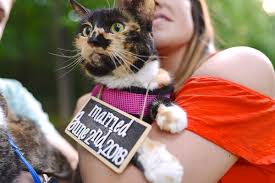 images?q=tbn%3AANd9GcQjyy2deIQxzsxhSPKGl