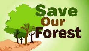 Sedangkan kemungkinan besar, pengumuman seleksi penerimaan cpns di kementerian lingkungan hidup dan kehutanan akan dirilis sekitar bulan maret 2021. Kupas Tuntas 37 Persen Hutan Di Lampung Rusak Dinas Kehutanan Jumlah Polhut Masih Kurang