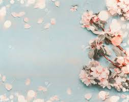 Add a touch of spring to your home easily and quickly with these beautiful spring printables! Pretty Spring Blossom On Light Blue Background With Bokeh Top Stock Photo Picture And Royalty Free Image Image 70608726