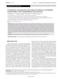 Image result for Secamone stuhlmannii