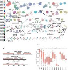 Discovery Of Several Thousand Highly Diverse Circular Dna