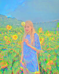 صوره منعشه من صنعي الشروط لايك فولو اكتبي تم غيره الله لا يحللك Black Pink Kpop Rose Icon Indie Kids