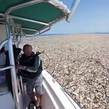 Información coronavirus • consulte las informaciones oficiales y las recomendaciones emitidas por el gobierno francés para los viajeros →. Las Fierbinti Sezonul 16 Episodul 21 26 Noiembrie 2019