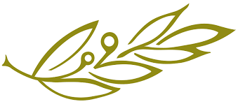 With the necessary technology, experience, and safety measures, sona medspa is . Franchise Damara Day Spa