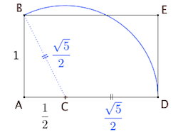 Résultat de recherche d'images pour "nombre d'or corps humain"