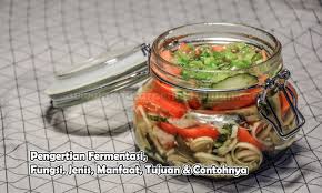 Jelaskan fungsi ragi dalam proses pembuatan tape. Fermentasi Adalah Pengertian Fungsi Jenis Manfaat Tujuan Contoh