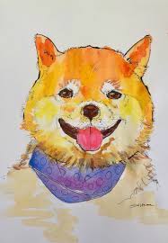 I will sketch your pet portrait outline and a color guide onto a 16x20 canvas for you, and ship it along with all the paints and materials you'll need to create a beautiful portrait of your furry, feathered or scaly friend! Watercolour Pet Portrait Painting Class Brisbane Classbento