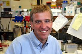 Helper molecule with 'Mary Poppins-like' qualities smooths out RNA folding 