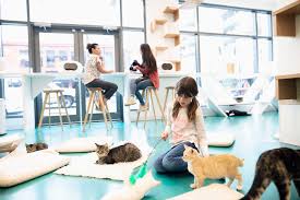 Choose from the largest selection of coffee restaurants and have your meal delivered to your door. Tips On How To Start A Cat Cafe